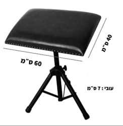 משענת יד 2